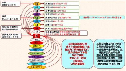 山东198创客系统 创客198新零售软件_软件开发_第一枪